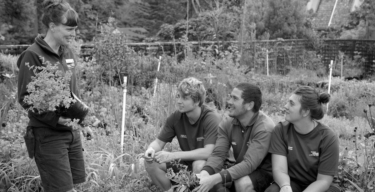 Horticultural apprentices