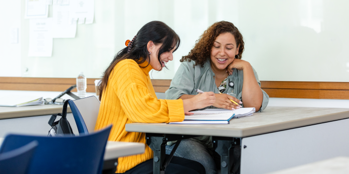 Two learners studying together